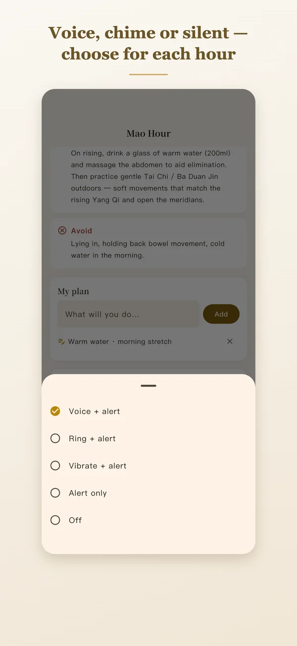Reminder modes: voice, chime or silent, chosen for each hour